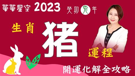 2023屬豬幸運物|豬運勢 2023 年預測：投資帶來豐厚利潤